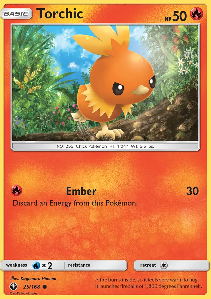 Torchic - 25
