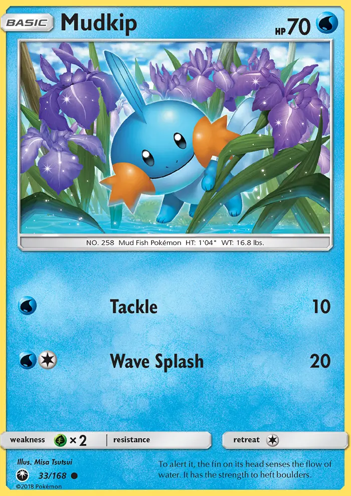 Mudkip - 33
