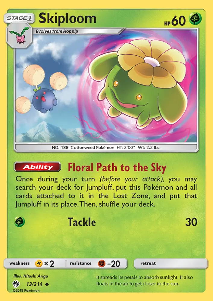 Skiploom - 13