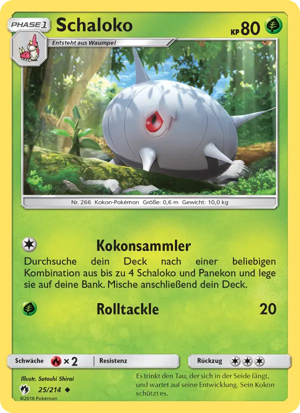 Schaloko - 25