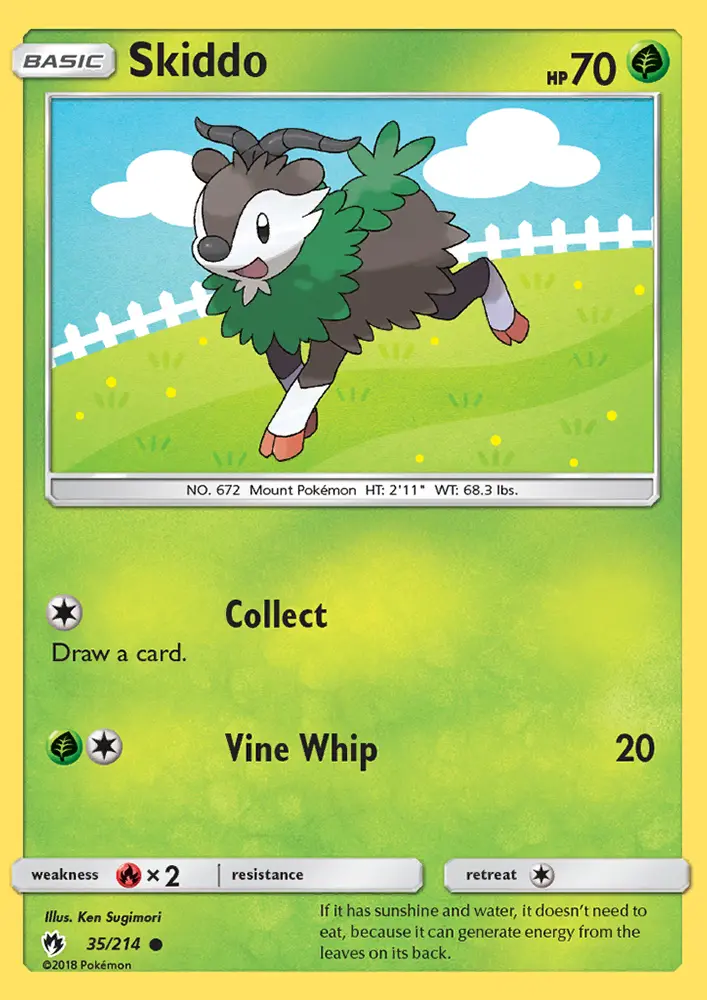 Skiddo - 35