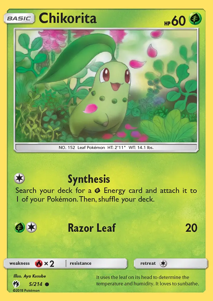 Chikorita - 5