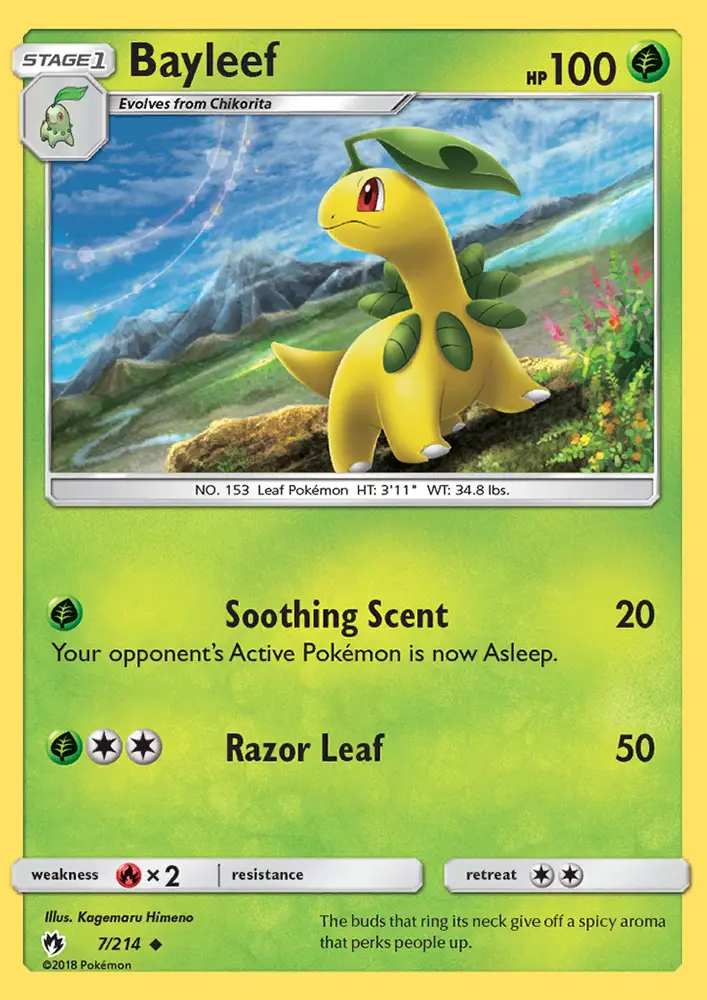 Bayleef - 7