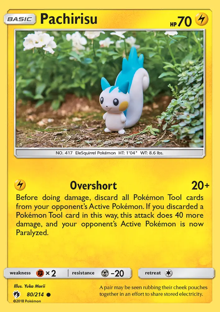 Pachirisu - 80