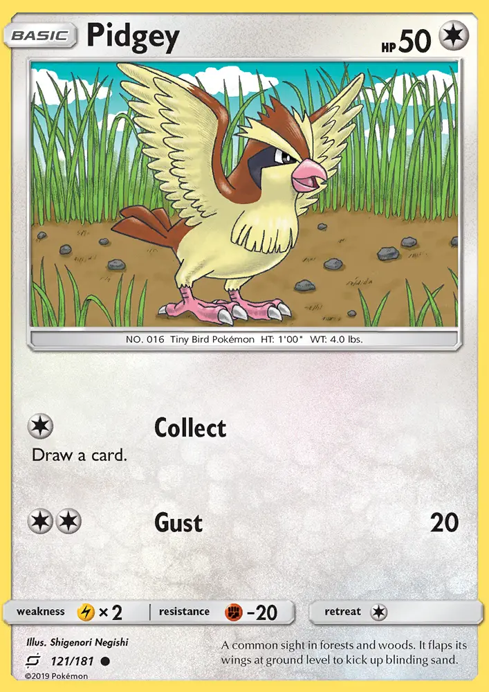 Pidgey - 121