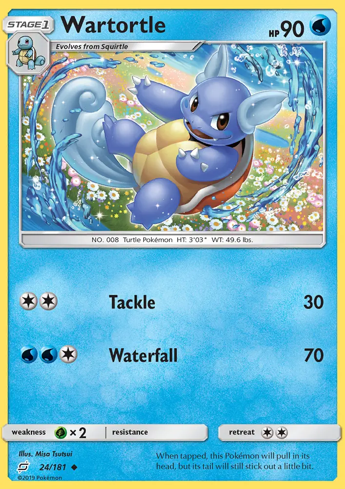 Wartortle - 24