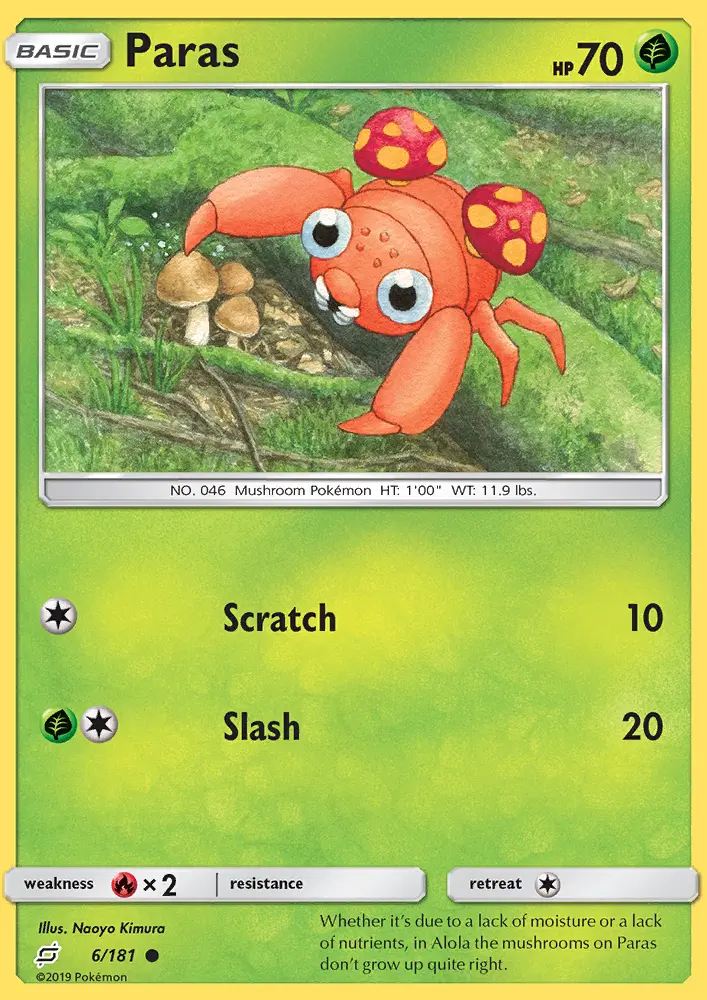 Paras - 6