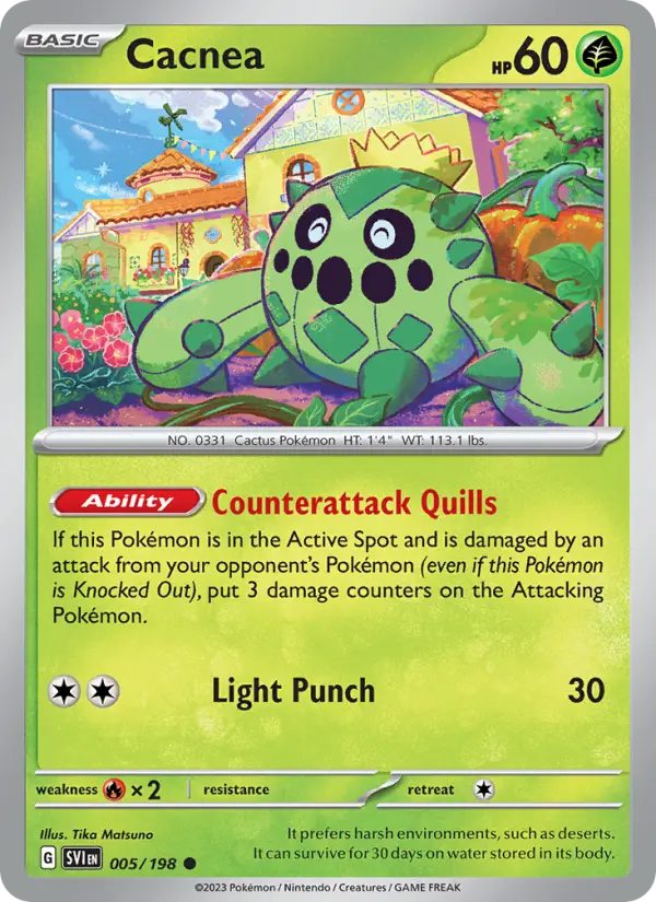 Cacnea - 005
