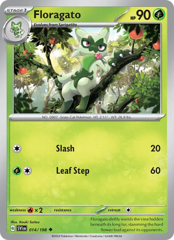 Floragato - 014