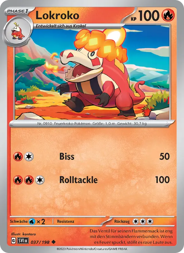 Lokroko - 037