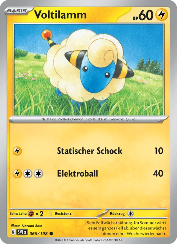 Voltilamm - 066