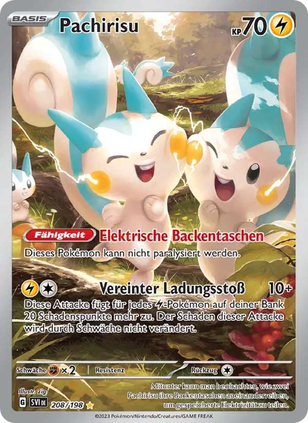 Pachirisu - 208
