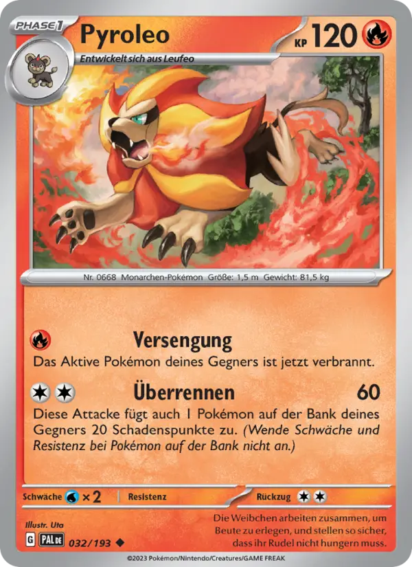 Pyroleo - 032