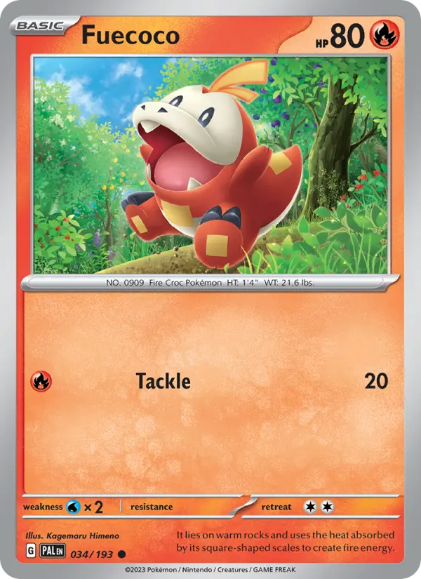 Fuecoco - 034