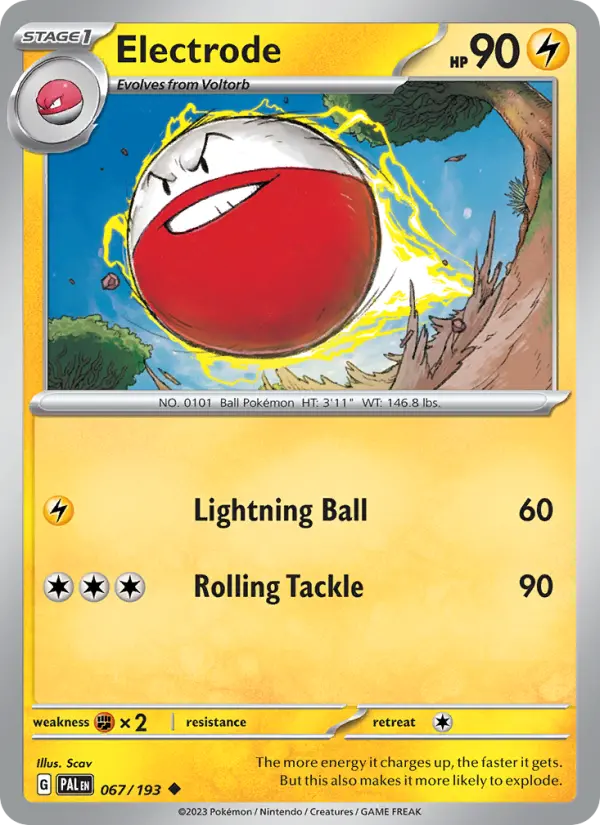 Electrode - 067