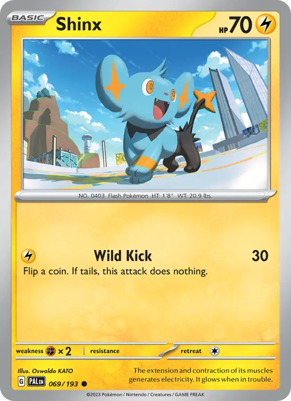 Shinx - 069