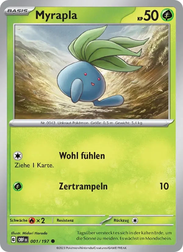 Myrapla - 001