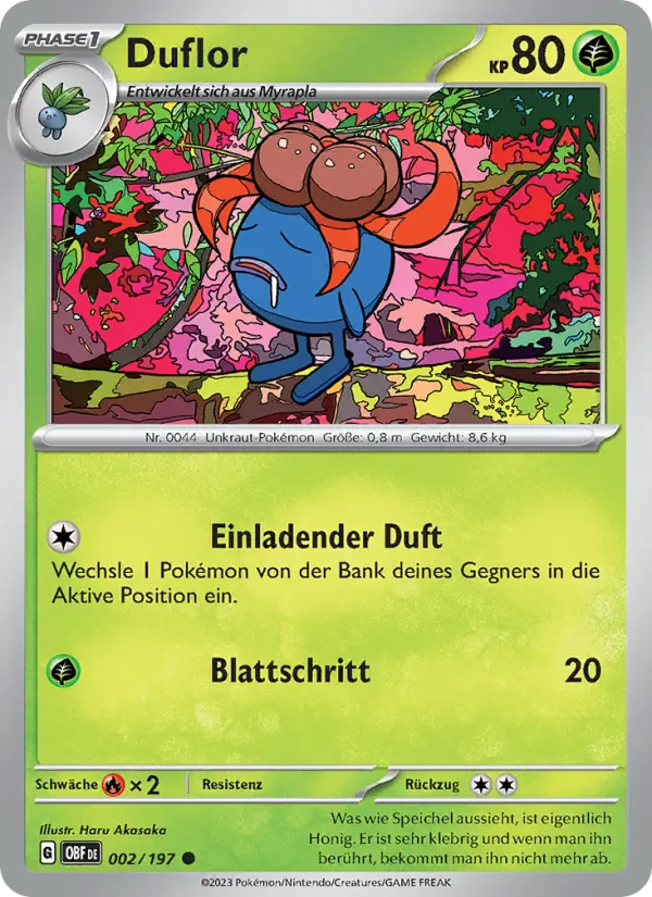 Duflor - 002