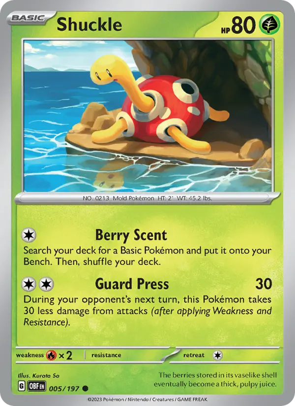 Shuckle - 005