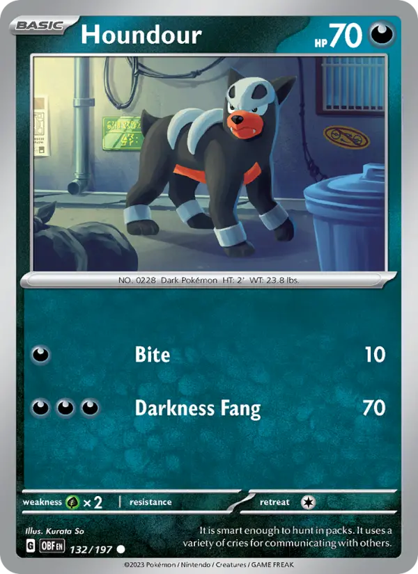 Houndour - 132