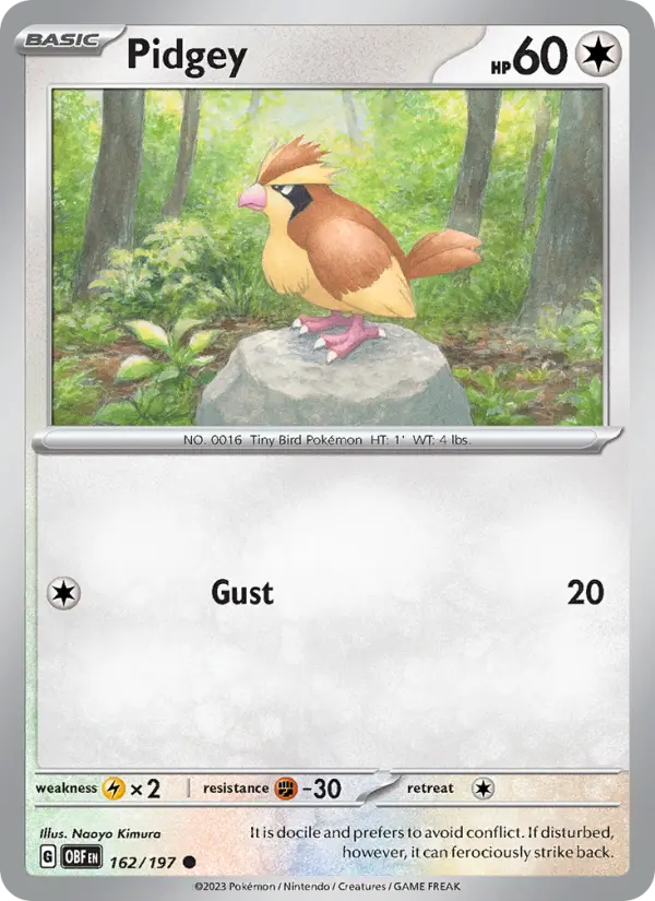 Pidgey - 162