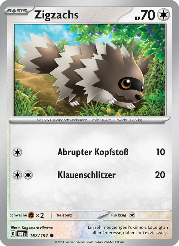 Zigzachs - 167