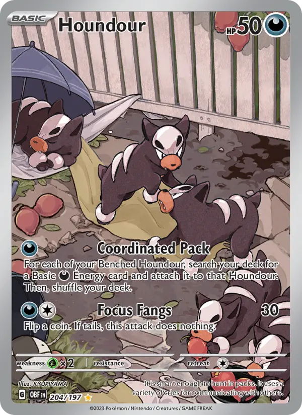 Houndour - 204