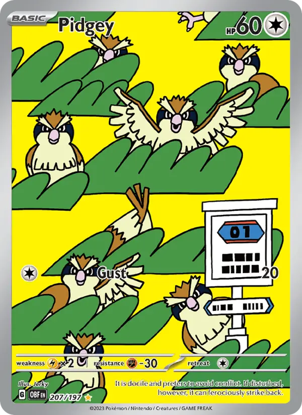 Pidgey - 207
