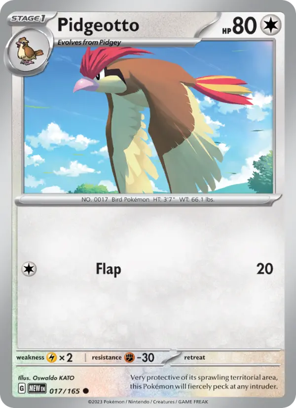 Pidgeotto - 017