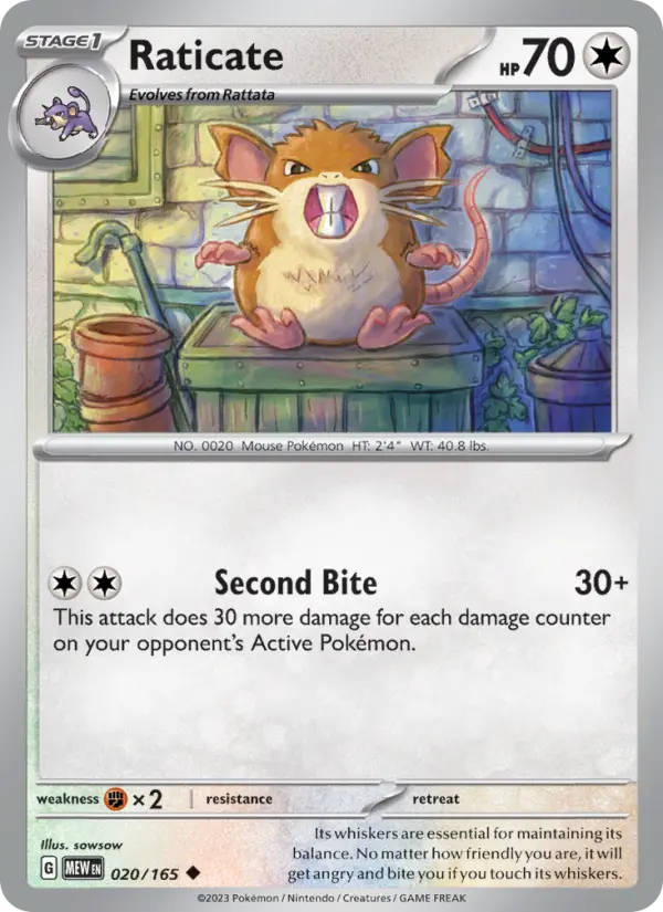 Raticate - 020