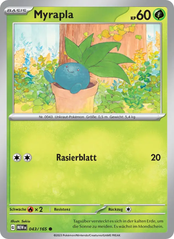 Myrapla - 043