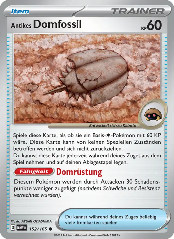 Antikes Domfossil - 152