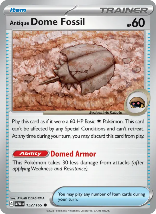 Antique Dome Fossil - 152