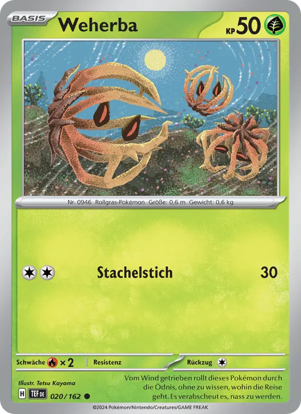 Weherba - 020
