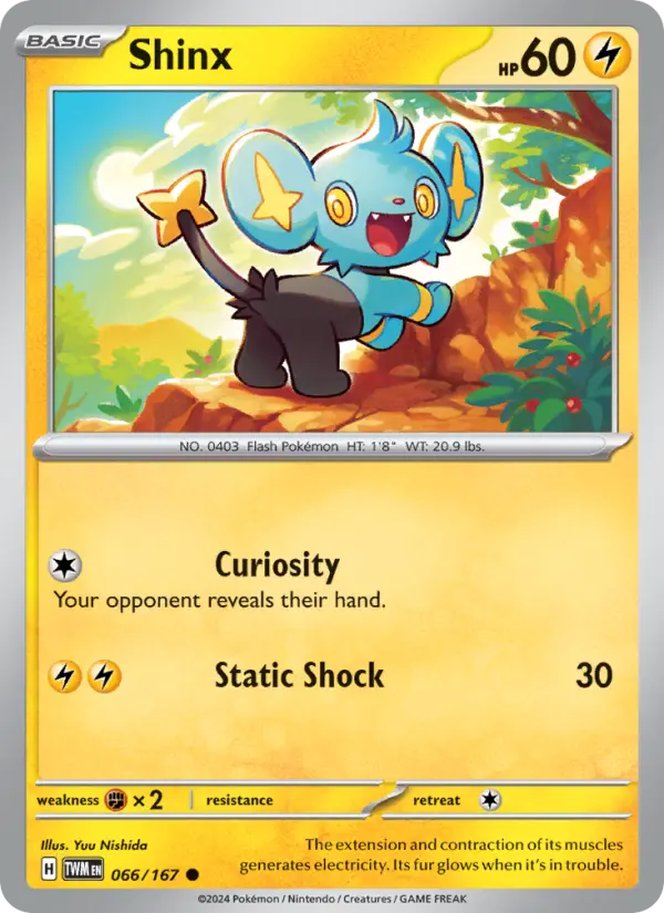 Shinx - 066