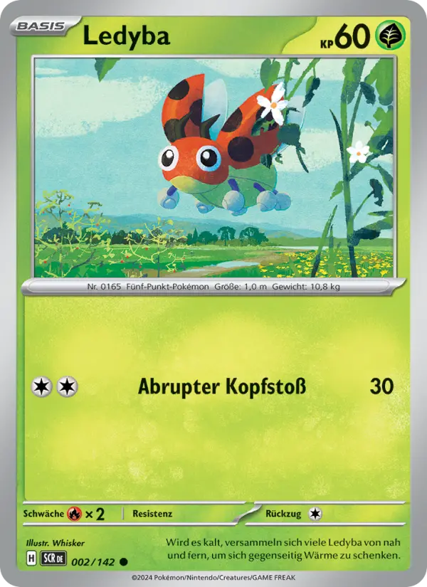 Ledyba - 002