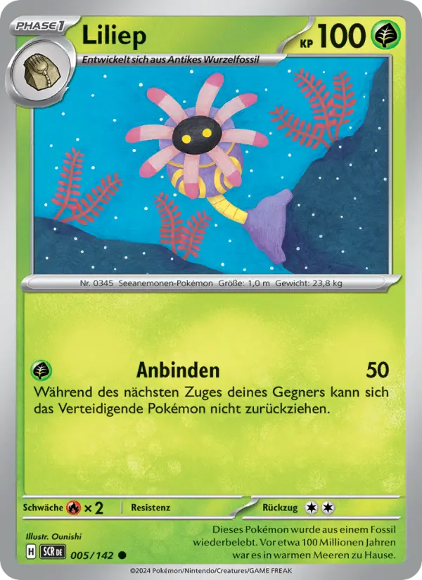Liliep - 005