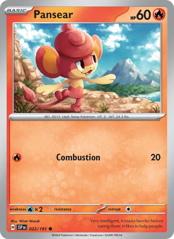 Pansear - 022