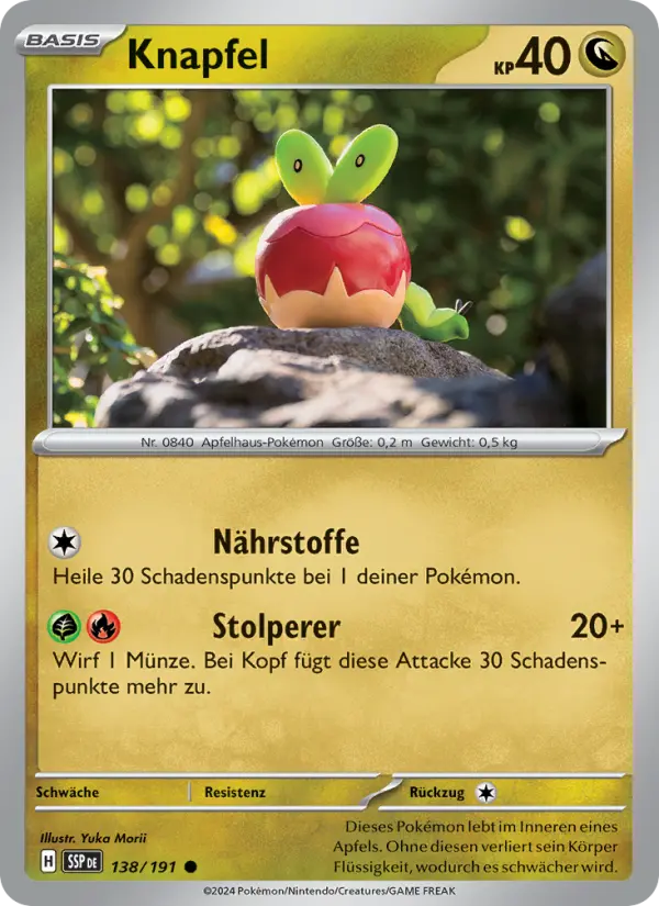 Knapfel - 138