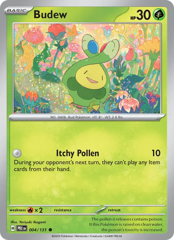 Budew - 004