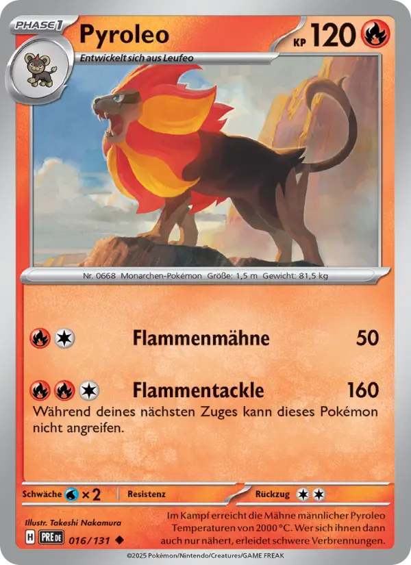 Pyroleo - 016