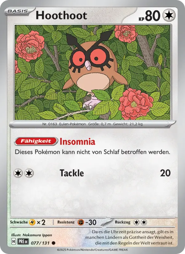 Hoothoot - 077