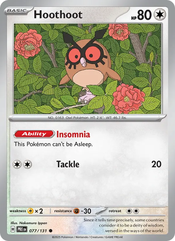 Hoothoot - 077