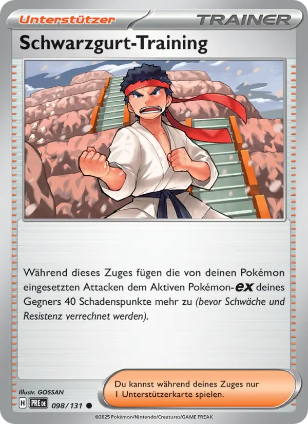 Schwarzgurt-Training - 098