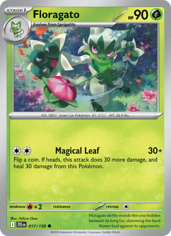 Floragato - 017