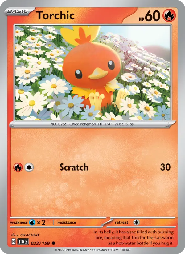 Torchic - 022