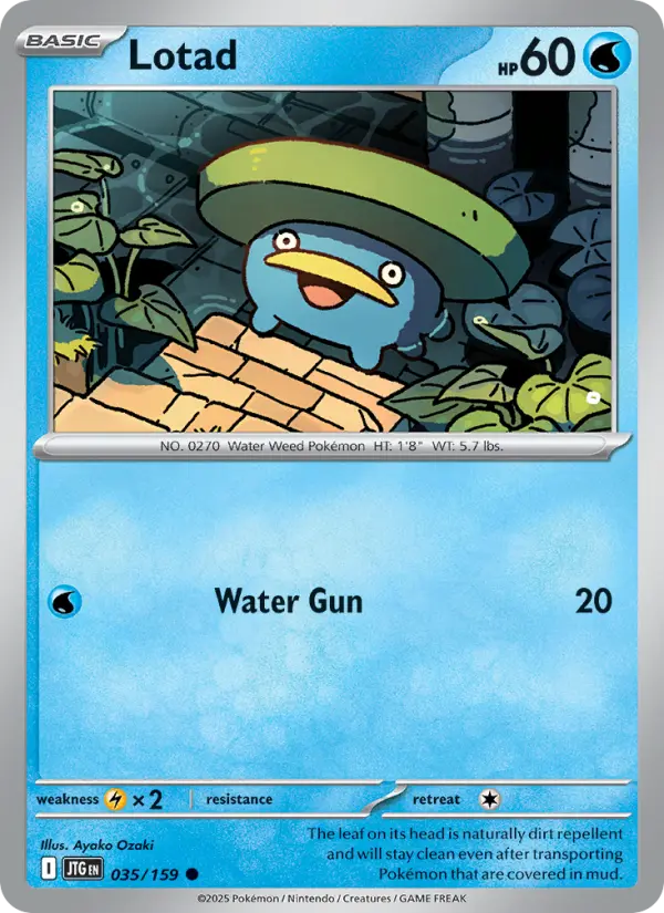 Lotad - 035