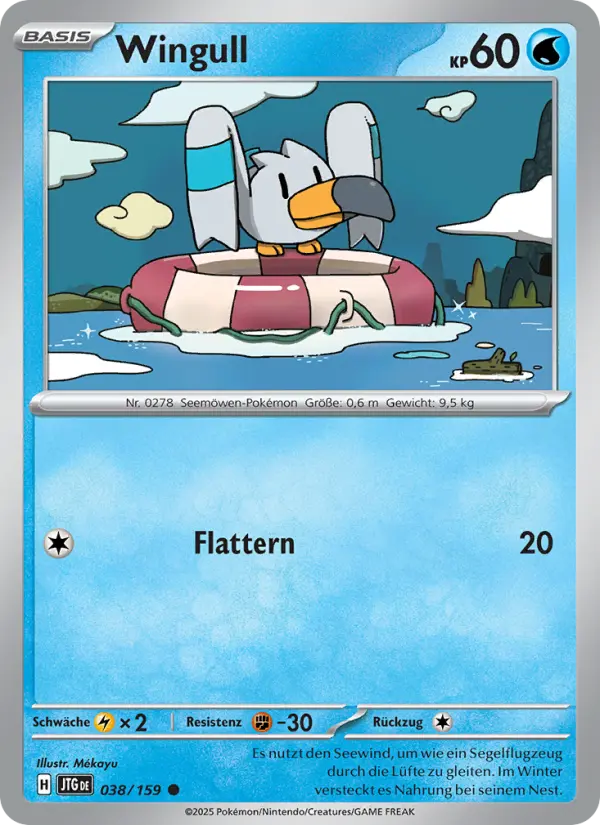 Wingull - 038