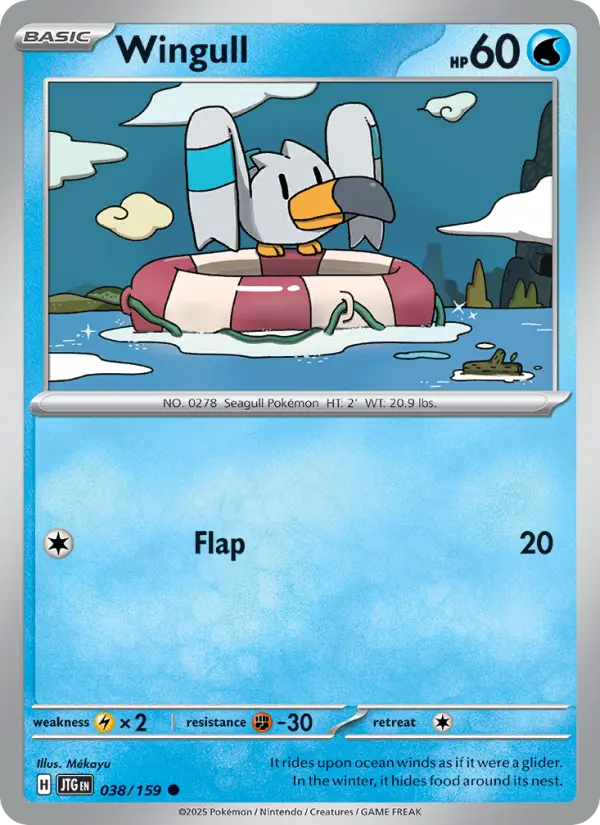 Wingull - 038