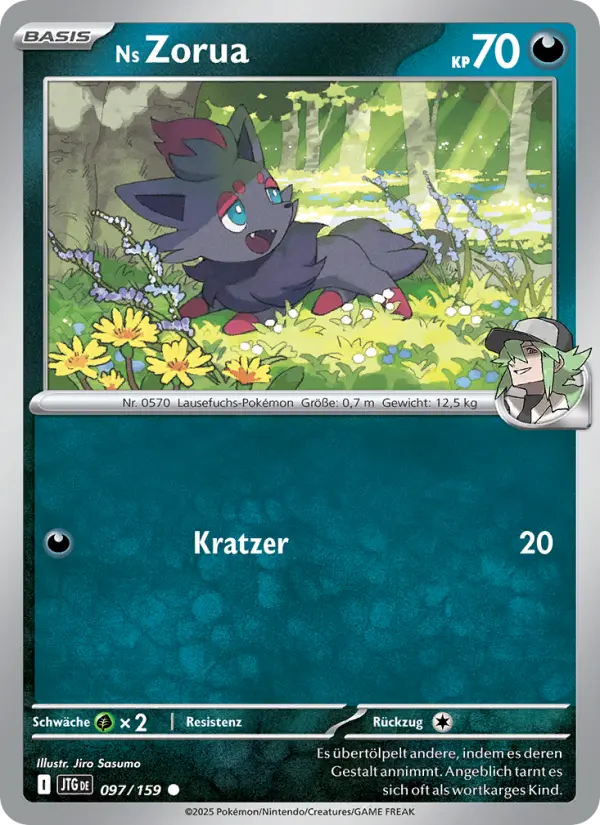 Ns Zorua - 097